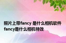 照片上带fancy 是什么相机软件 fancy是什么相机特效