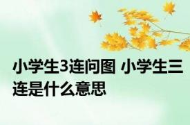 小学生3连问图 小学生三连是什么意思