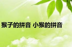 猴子的拼音 小猴的拼音 