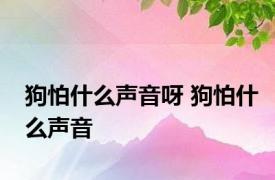 狗怕什么声音呀 狗怕什么声音 