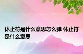休止符是什么意思怎么弹 休止符是什么意思