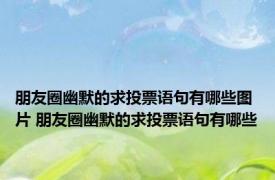 朋友圈幽默的求投票语句有哪些图片 朋友圈幽默的求投票语句有哪些