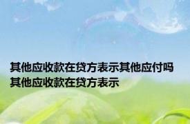 其他应收款在贷方表示其他应付吗 其他应收款在贷方表示 