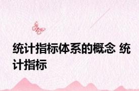 统计指标体系的概念 统计指标 