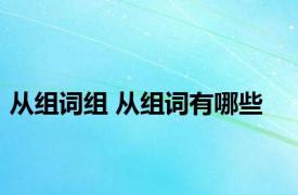 从组词组 从组词有哪些