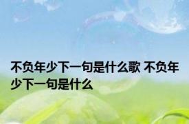 不负年少下一句是什么歌 不负年少下一句是什么 