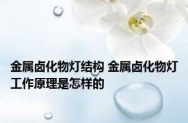 金属卤化物灯结构 金属卤化物灯工作原理是怎样的