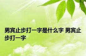 男宾止步打一字是什么字 男宾止步打一字 