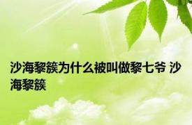 沙海黎簇为什么被叫做黎七爷 沙海黎簇 