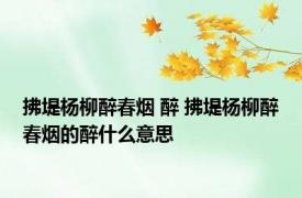 拂堤杨柳醉春烟 醉 拂堤杨柳醉春烟的醉什么意思