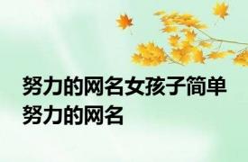 努力的网名女孩子简单 努力的网名 