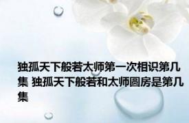 独孤天下般若太师第一次相识第几集 独孤天下般若和太师圆房是第几集