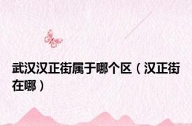 武汉汉正街属于哪个区（汉正街在哪）