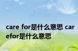 care for是什么意思 carefor是什么意思
