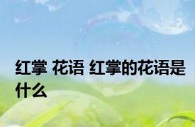 红掌 花语 红掌的花语是什么