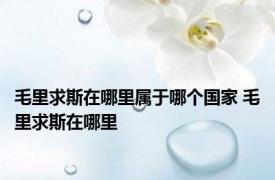 毛里求斯在哪里属于哪个国家 毛里求斯在哪里 