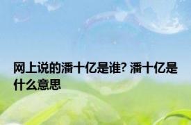 网上说的潘十亿是谁? 潘十亿是什么意思