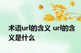 术语url的含义 url的含义是什么