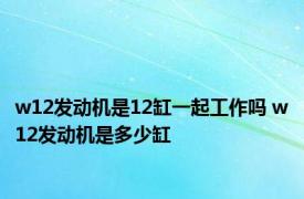 w12发动机是12缸一起工作吗 w12发动机是多少缸