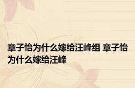 章子怡为什么嫁给汪峰组 章子怡为什么嫁给汪峰 
