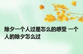 除夕一个人过是怎么的感受 一个人的除夕怎么过