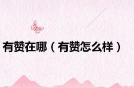 有赞在哪（有赞怎么样）