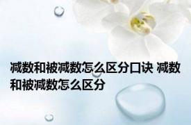 减数和被减数怎么区分口诀 减数和被减数怎么区分