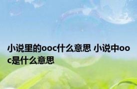 小说里的ooc什么意思 小说中ooc是什么意思