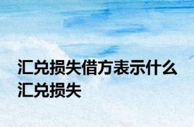 汇兑损失借方表示什么 汇兑损失 