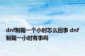 dnf制裁一个小时怎么回事 dnf制裁一小时有事吗