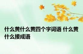 什么黄什么黄四个字词语 什么黄什么接成语