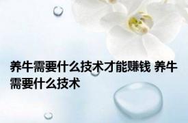 养牛需要什么技术才能赚钱 养牛需要什么技术