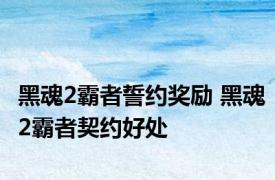 黑魂2霸者誓约奖励 黑魂2霸者契约好处