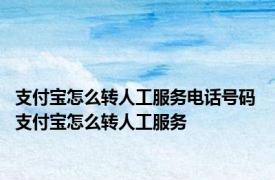 支付宝怎么转人工服务电话号码 支付宝怎么转人工服务