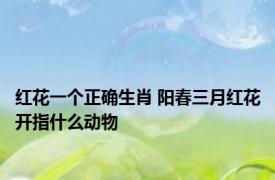 红花一个正确生肖 阳春三月红花开指什么动物