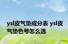 ysl皮气垫成分表 ysl皮气垫色号怎么选