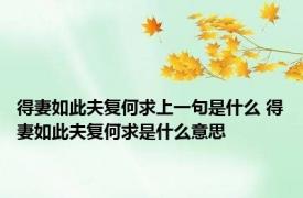 得妻如此夫复何求上一句是什么 得妻如此夫复何求是什么意思