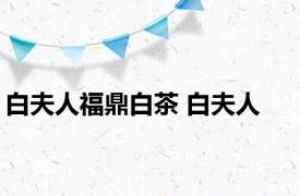 白夫人福鼎白茶 白夫人 