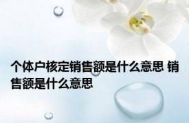 个体户核定销售额是什么意思 销售额是什么意思