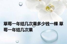 草莓一年结几次果多少钱一棵 草莓一年结几次果