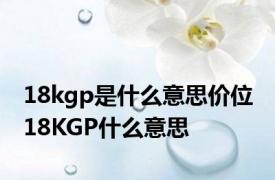 18kgp是什么意思价位 18KGP什么意思