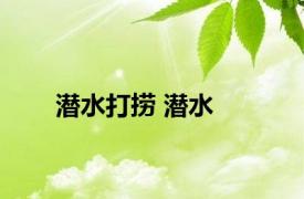 潜水打捞 潜水 