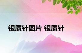 银质针图片 银质针 