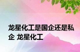 龙星化工是国企还是私企 龙星化工 