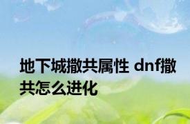 地下城撒共属性 dnf撒共怎么进化 