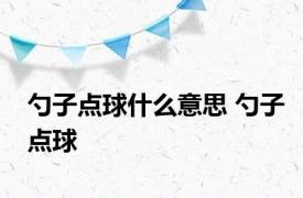 勺子点球什么意思 勺子点球 