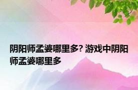阴阳师孟婆哪里多? 游戏中阴阳师孟婆哪里多