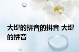大堤的拼音的拼音 大堤的拼音 