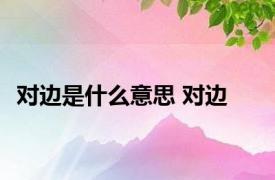 对边是什么意思 对边 