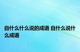 自什么什么说的成语 自什么说什么成语